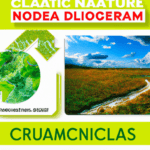 Effects of climate change