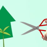 Influence on economic growth and stability