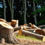 Overexploitation of natural resources