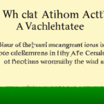 Criticisms of wealth redistribution