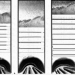Economic factors influencing the Gini coefficient