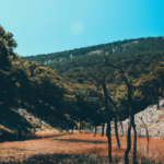 Environmental challenges