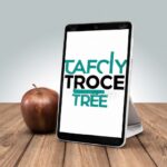 Formula for calculating Gini coefficient