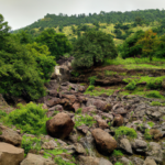 Government Intervention