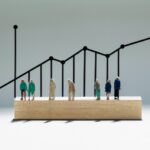 Income Distribution Issues