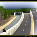 Long-term consequences