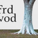 Different modes of lifelong learning