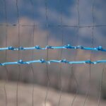 Different types of social safety nets