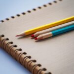 Educational opportunities and outcomes