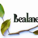 Factors affecting social mobility