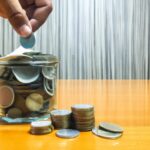 Government transfer programs and their influence on income distribution