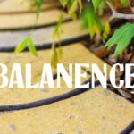 Personal and professional growth