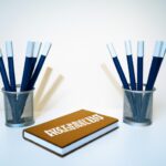 Tax loopholes and tax evasion