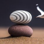 and the effectiveness of wealth redistribution policies.