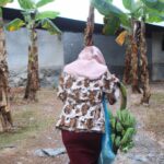 Causes of historical disadvantages