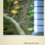 Importance of higher education