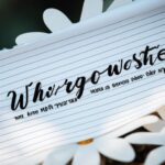 Seeking out learning opportunities