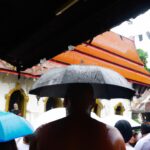 Background and history