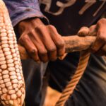 Benefits of Equal Opportunities in Education and Skills Development