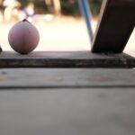 Effects of social instability