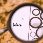 Key figures in the Revolution