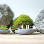 Prosperity inequality