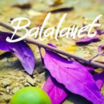 Effects on Mental Health