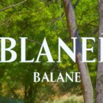 Benefits of educational attainment