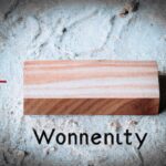 Inequality and wealth distribution