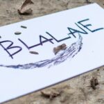 Political polarization in India