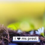 Types of fake news on social media