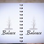 Definition of Non-governmental organizations