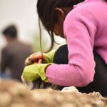 Definition of root causes