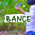 Economic value of environmental conservation.