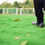 Impacts of human activities on the environment