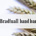 Key international agreements and organizations