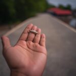 Loss of biodiversity