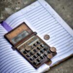 Poverty alleviation strategies.