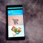 Criticisms and challenges in implementing minimum wage policies.