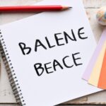 Debate on setting the appropriate minimum wage