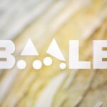 Effects of class divisions