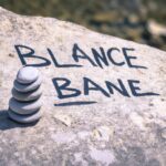 Election campaigning strategies