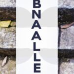 Factors influencing power dynamics