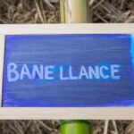 Impact of continuous learning on career growth