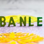 Online learning platforms