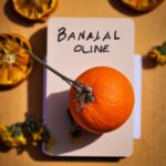 Origin and ideologies of communism