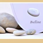 Role of political parties