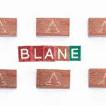 Role of political parties in democratic systems