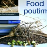 Case studies of successful sustainable development and economic growth initiatives.