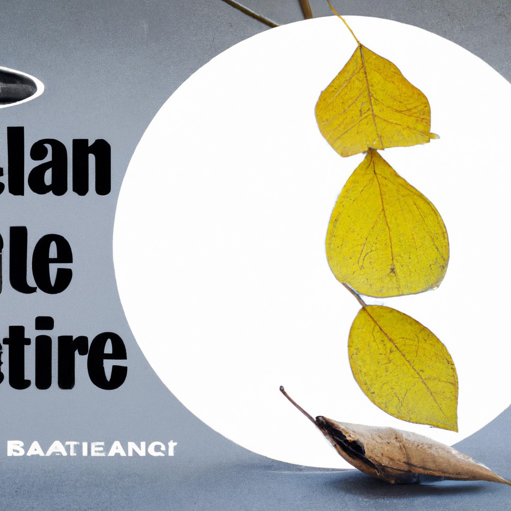 Challenges and criticisms of political organizations.